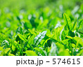 茶葉