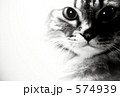ラスト・リベンジ
