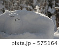 雪の梟と森林