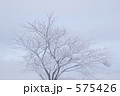 575426