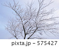 575427