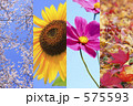 四季の花