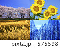四季の花