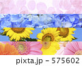四季の花