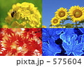 四季の花
