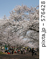 万博公園の桜