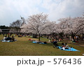 万博公園の桜