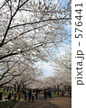 万博公園の桜