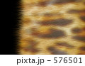 毛皮 テクスチャー　素材　画像　販売　写真　壁紙