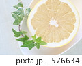 グレープフルーツ　Ⅱ