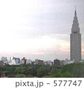 新宿の夕景