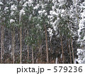 杉山に雪降りしきる