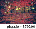 名古屋城の紅葉