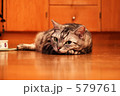 素材ナンバー 579761 : 「視線」