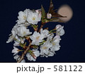 桜と月