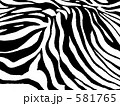 ZEBRA. Ⅰ