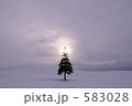 クリスマスツリー2