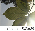 583089