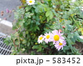 583452
