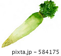 大根