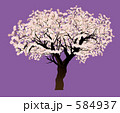 桜の木