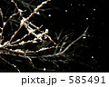 雪と木枝