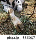586087