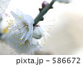 586672