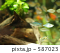 587023