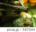 587044