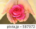 花を持つ手