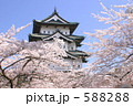 枝垂桜と弘前城・天守閣