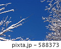 冬の青空