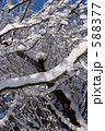 綿雪積もる