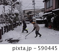 590445