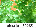 590851