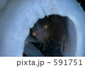 591751
