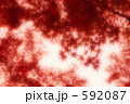 紅葉 11