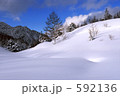 新雪の丘