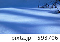 蒼い雪
