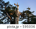 屋久島の紀元杉