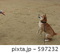おやつキャッチ