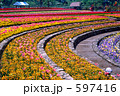 色とりどりの花壇