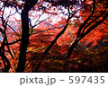 紅に燃える