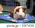 597436