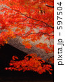 紅葉 14