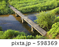 石橋と葦に浄化される川