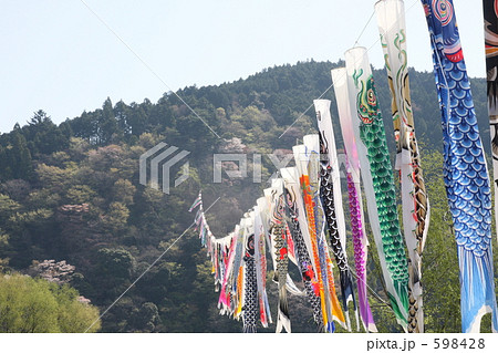 川根町のこいのぼり１
