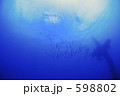 598802