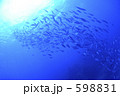 598831